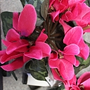 Flowers, flower delivery, flowers, Smiltene