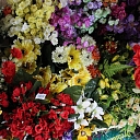 Flowers, flower delivery, flowers, Smiltene