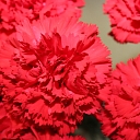 Flowers, flowers, flower shop, Smiltene