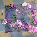 Floristics in Latgale