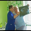 X-ray examinations of animals in Rezekne