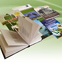 Книги, типография, Мадона, Erante