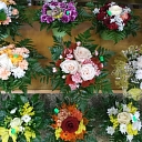 Флористика в Алуксне