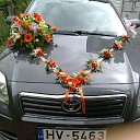 Car registration in Talsi