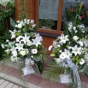 Flowers for celebrations