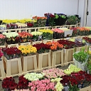 Wholesale of flowers for weddings in Jurmala