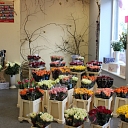 A large selection of fresh flowers in Riga