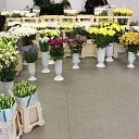 Flower trade in Riga
