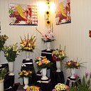 Flowers for room decoration