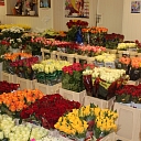 Flowers for celebrations