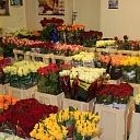 Cut flowers in Viestura prospect in Riga