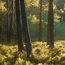 Спиливание опасных деревьев