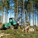 Qualitative forestry work