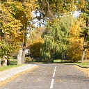 Transport services in Talsi