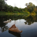 Aiviekste Lubāna leisure