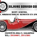 Autoserviss Salaspils, Silavas servisa centrs