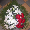 Funeral ostriches in Rezekne