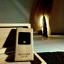 Breathalyzer with wooden body