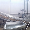 Horseradish washing line