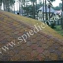 Mossy roof - dirty. Roof cleaning.