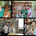 Professional veterinarians in Rezekne