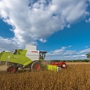 Combine harvester Claas Tucano 570