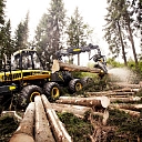 Harvesters ponsse bear 8w1