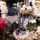Advent wreaths