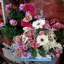 Flowers in a box, slotted compositions