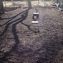 Construction of backyard sewerage