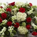 Cheap funeral in Riga, Riga