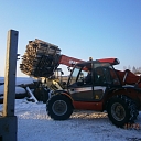 Шалевые дрова