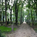 Кладбище в Риге