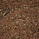 Grain grain purchase page Barkava Dry
