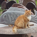 Каменные скульптуры