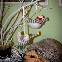 Частное учебное заведение