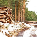Лесное хозяйство и лесозаготовки