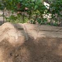 Farewell hall renting