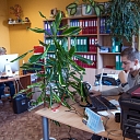 Company's accountancy