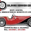 Car service Salaspils, Silava service center