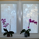 Roller cassette blinds