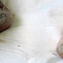 Treatment of skin fungus