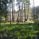 Geotechnical research