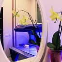 Solarium Jelgava