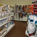 Pharmacy