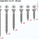 Screws