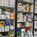 Veterinary medicine Jelgava