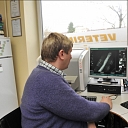 Veterinary medicine Jelgava