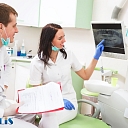 We offer dental treatment and extraction, surgery and other dental services