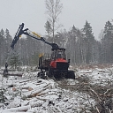 Purchase of forest property